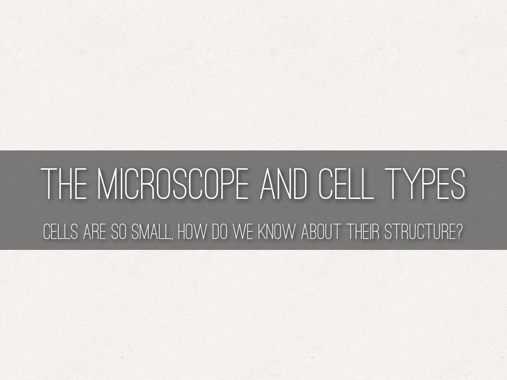 The Microscope and Cell Types