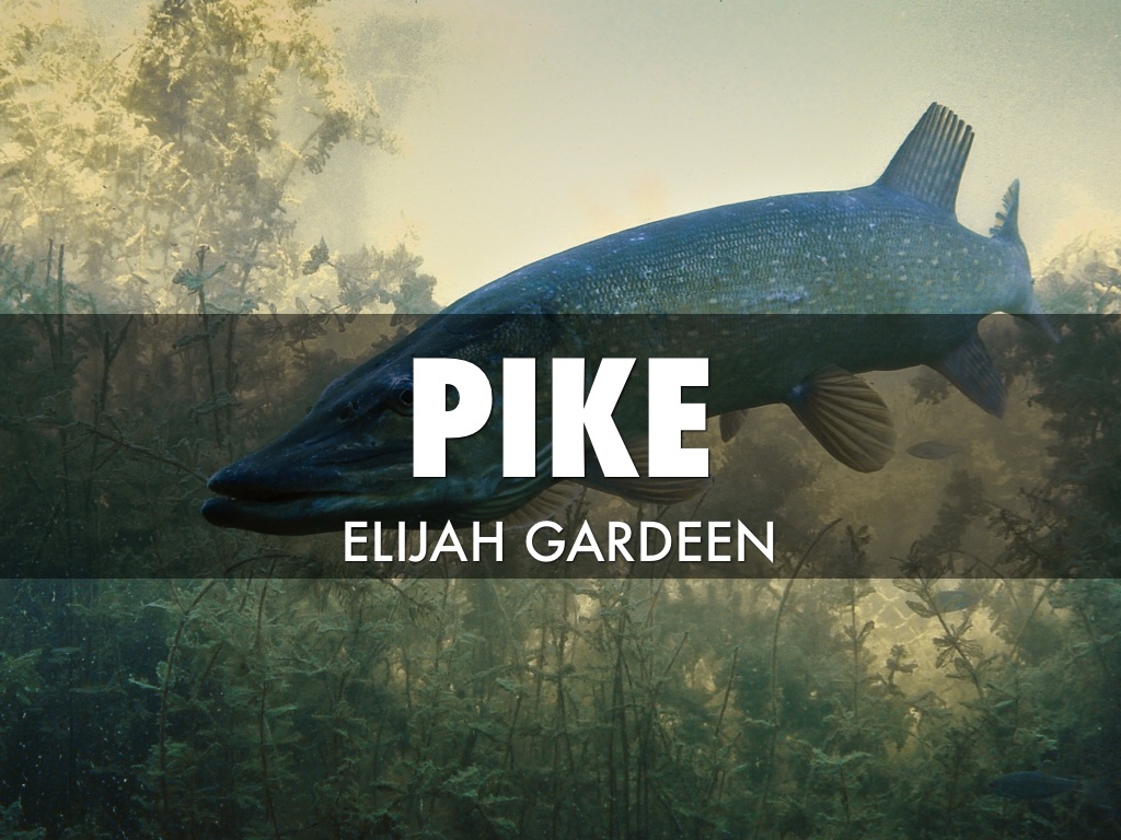 pike