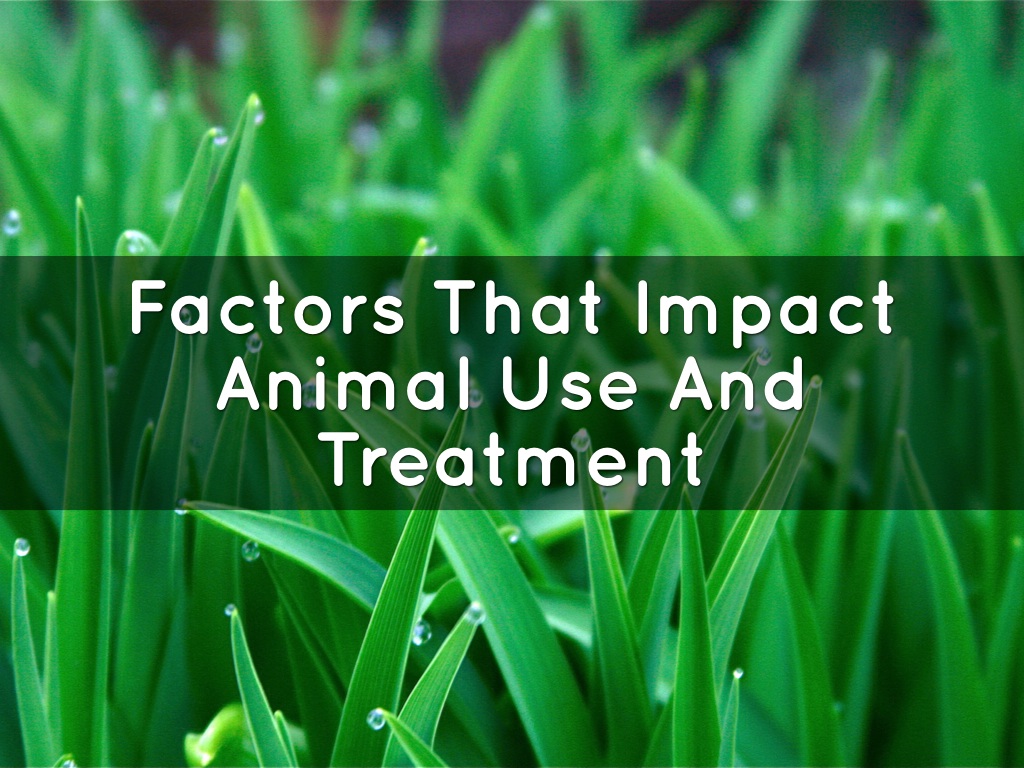 Factors That Impact Animal Use and Treatment by Dorothy