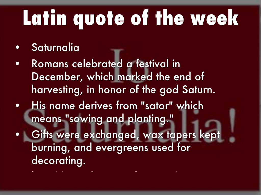 Saturnalia by rsmeltzer