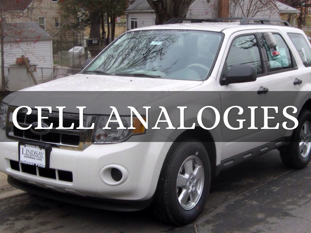 Cell Analogies