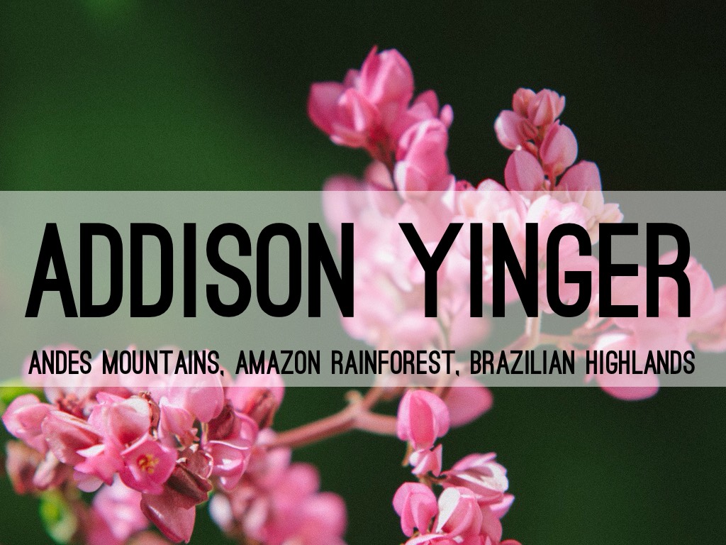 Geography Of South America 