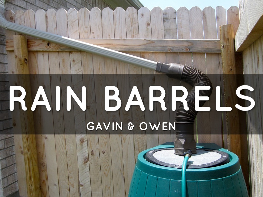 Rain Barrels