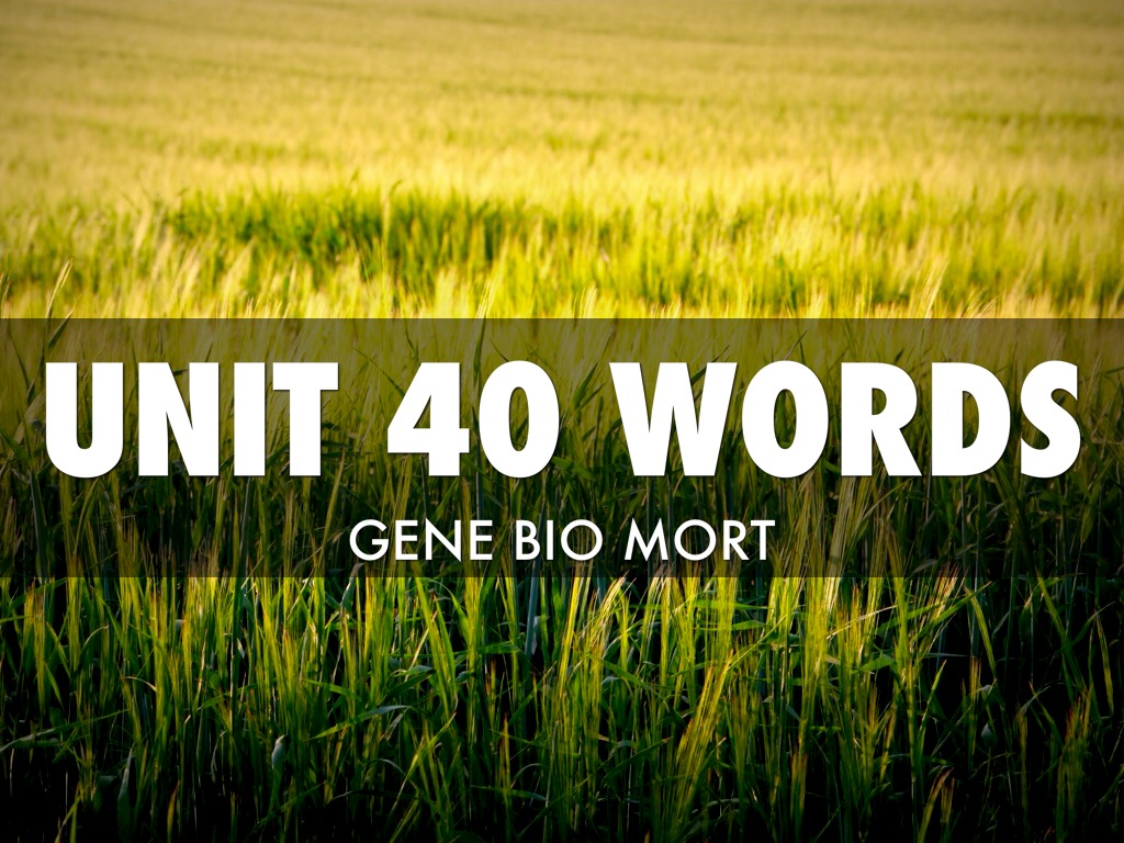 Unit 40 Words