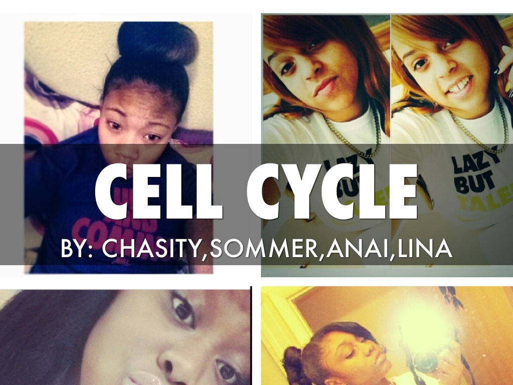 Cell Cycle 