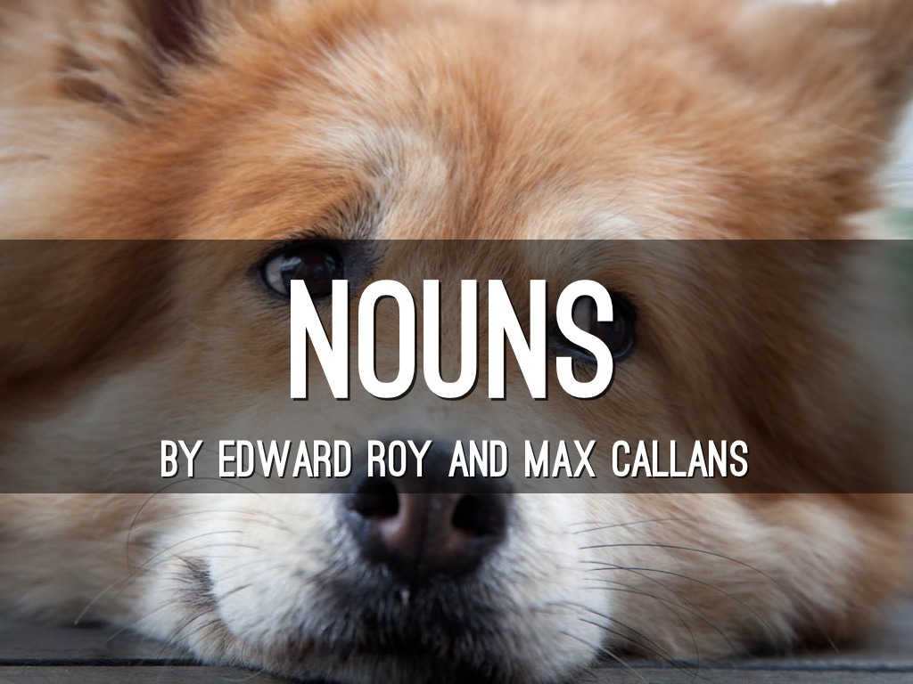 Edward Roy And Max Callans