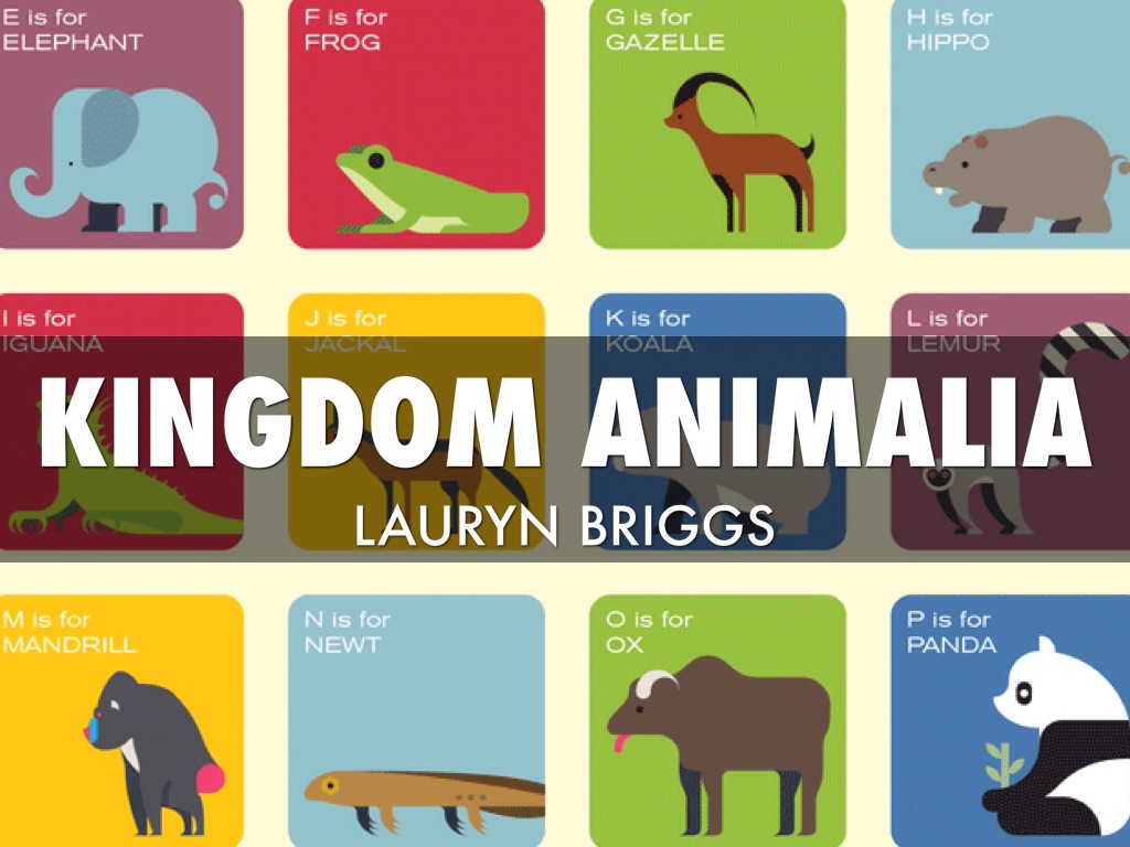 Kingdom Animalia
