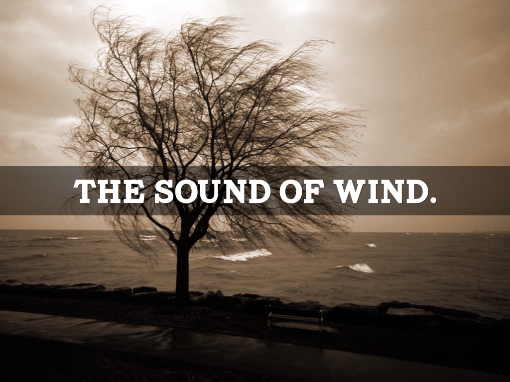 Poetry Lesson by Nicole K