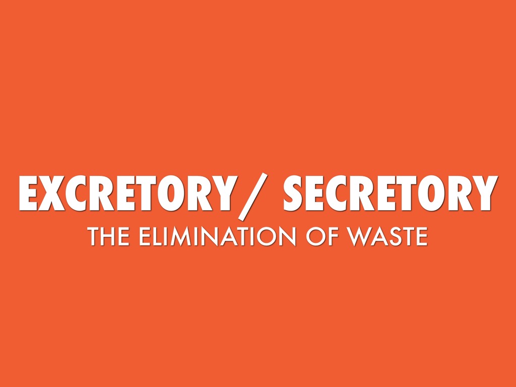 Excretory/ Secretory