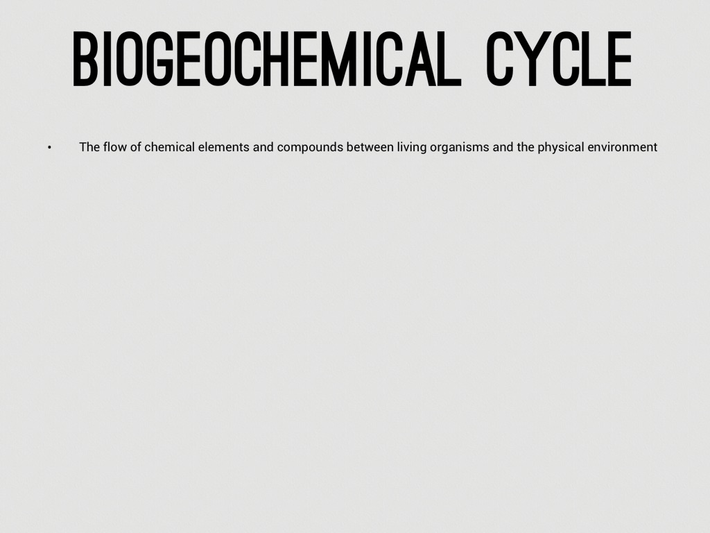 Phosphorus Cycle