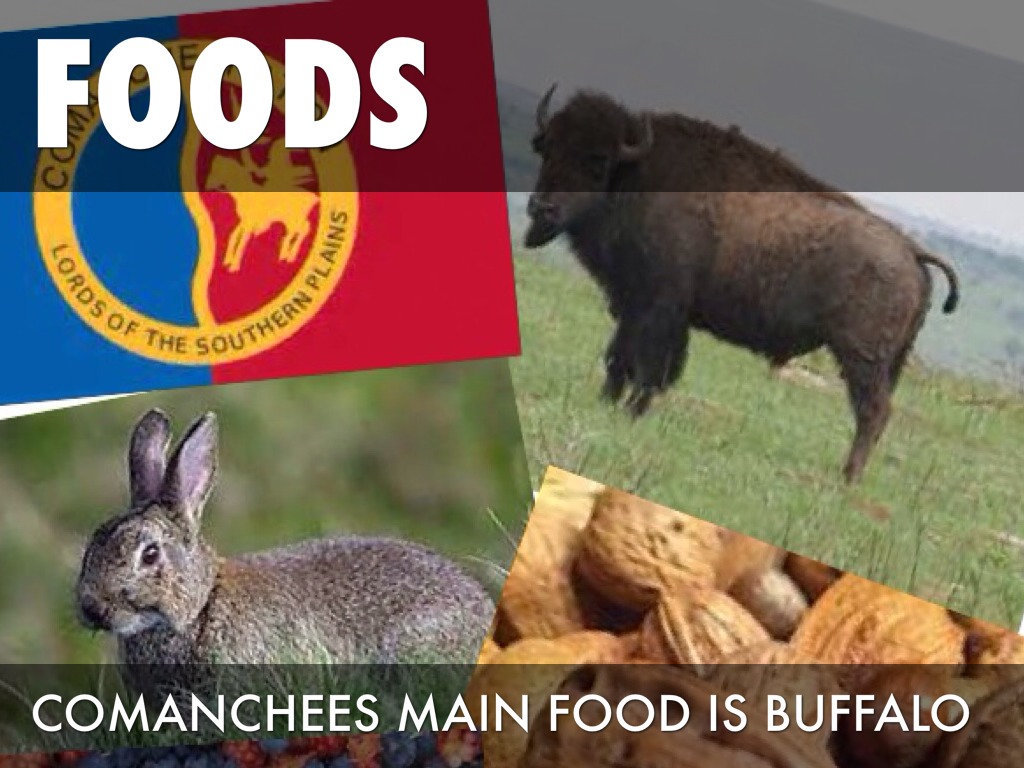 Comanchee by meredith Miller