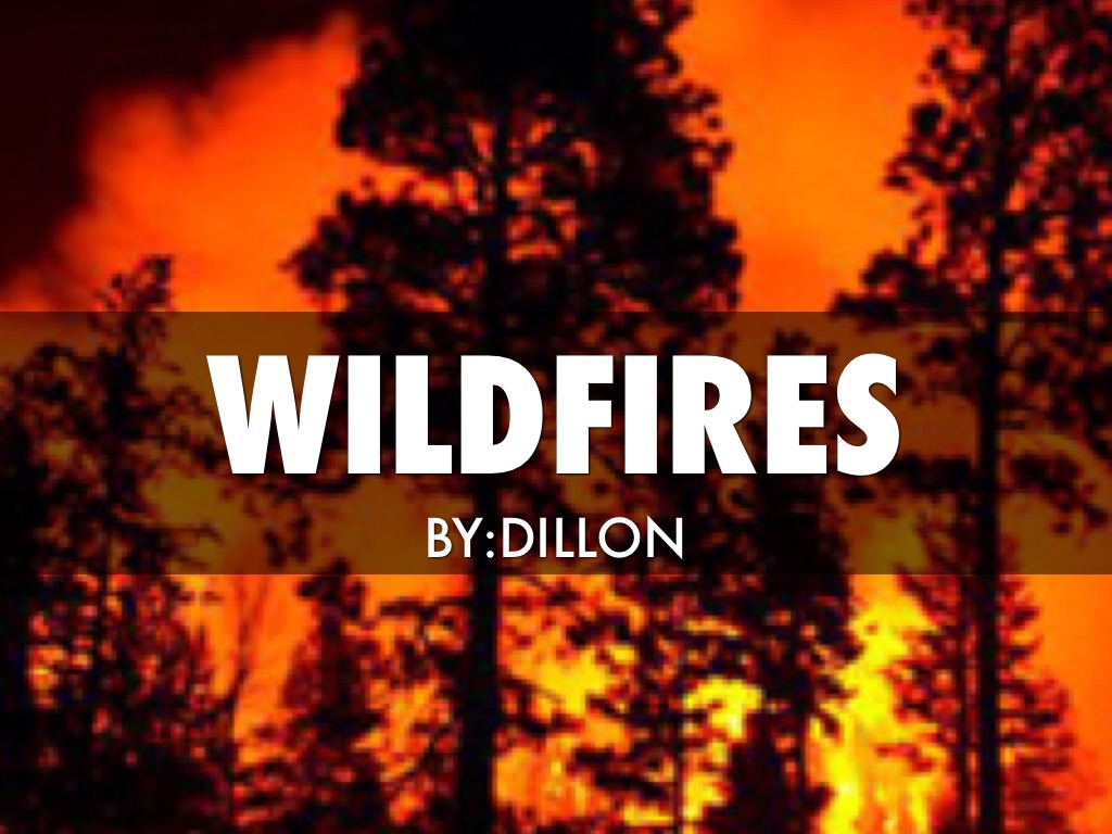 Wildfires