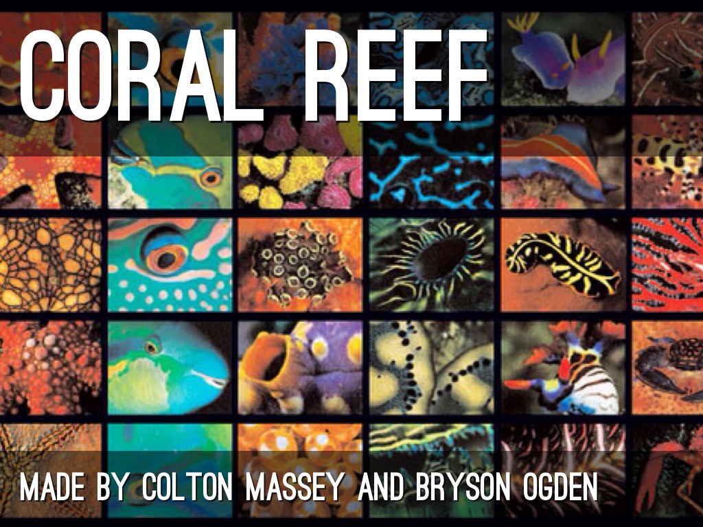 Colton Massey And Bryson Ogden