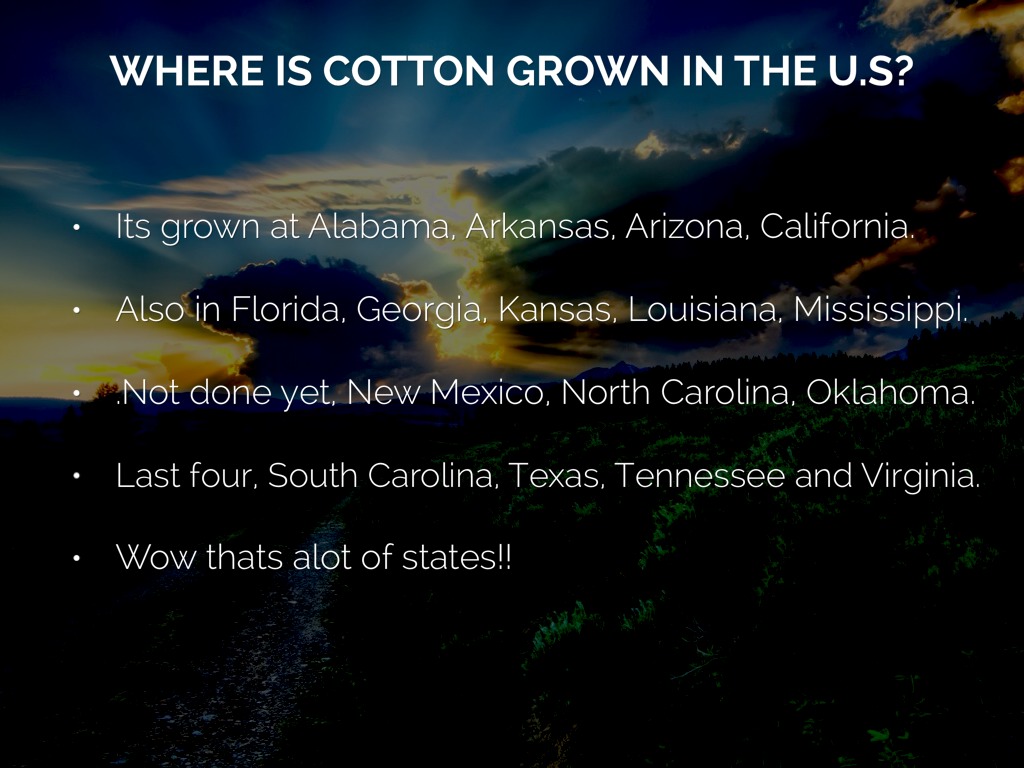 Cotton Storybook by Juliannew Watts