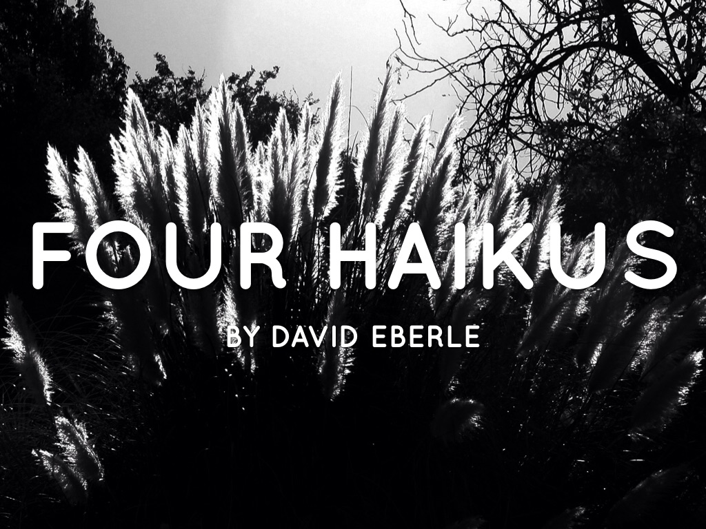 Haikus 
