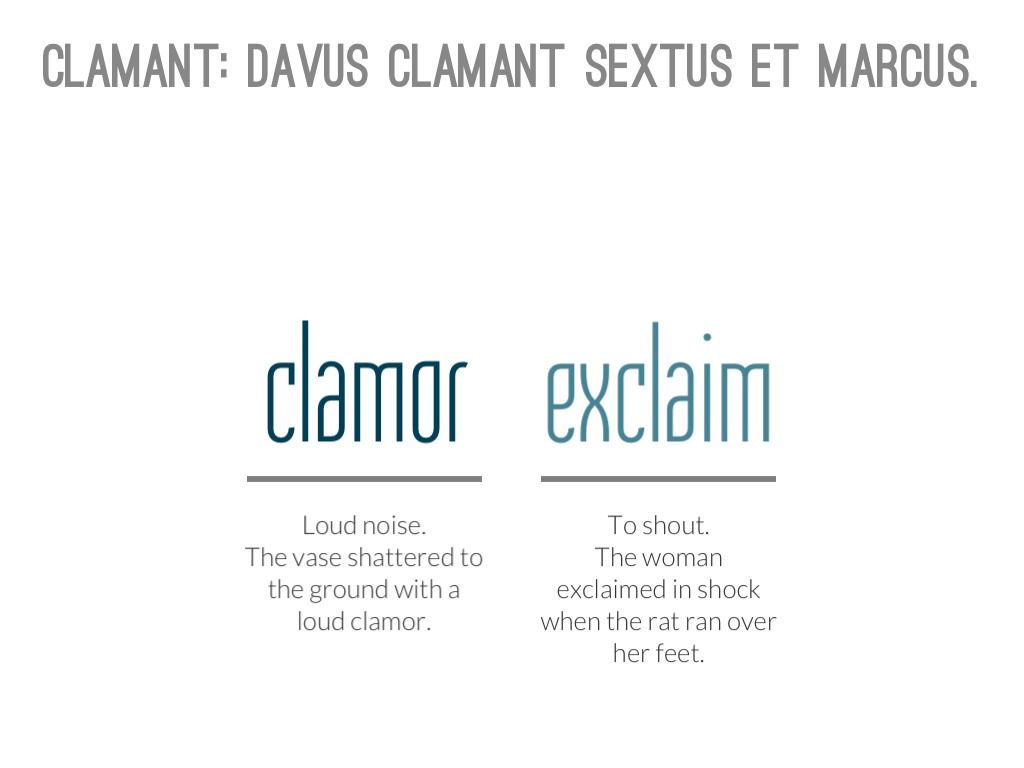 Latin Derivative Project. by ANTHONY SHEPLER