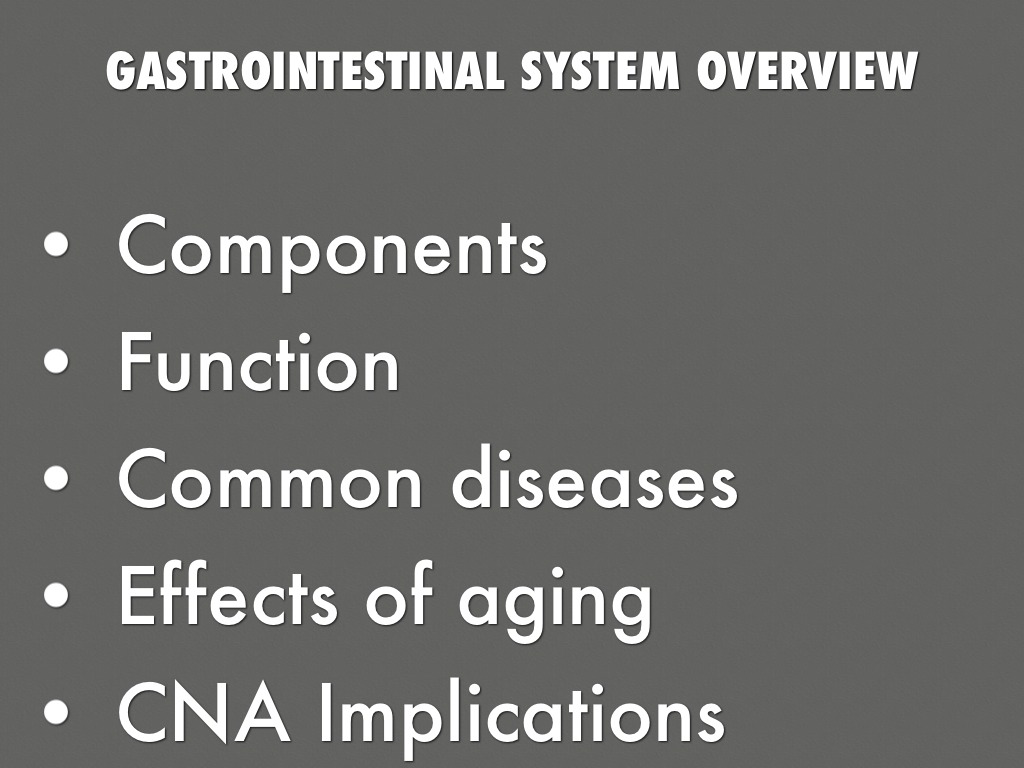 Gastrointestinal System