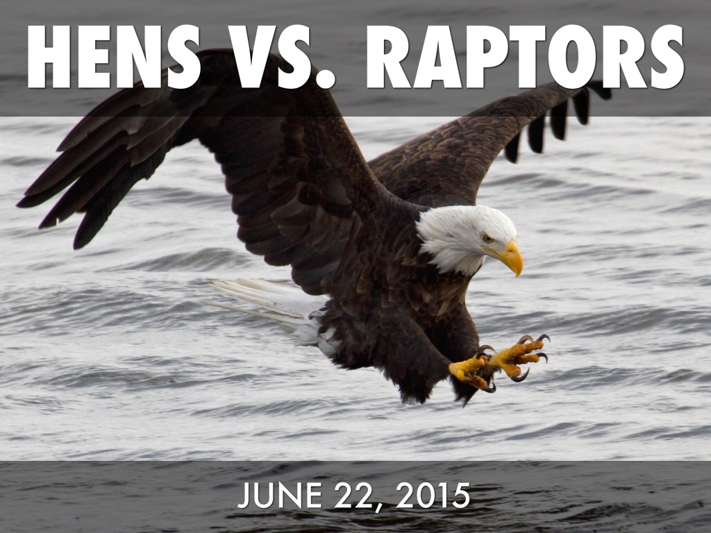 Hens Vs. Raptors