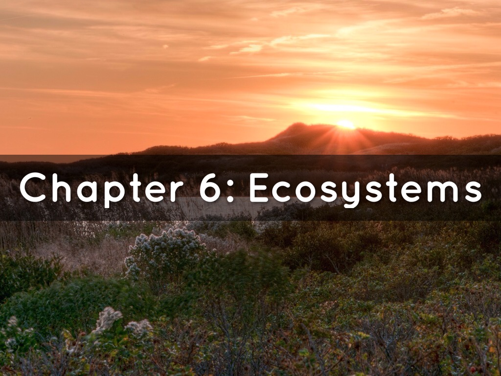 Chapter 6: Ecosystems