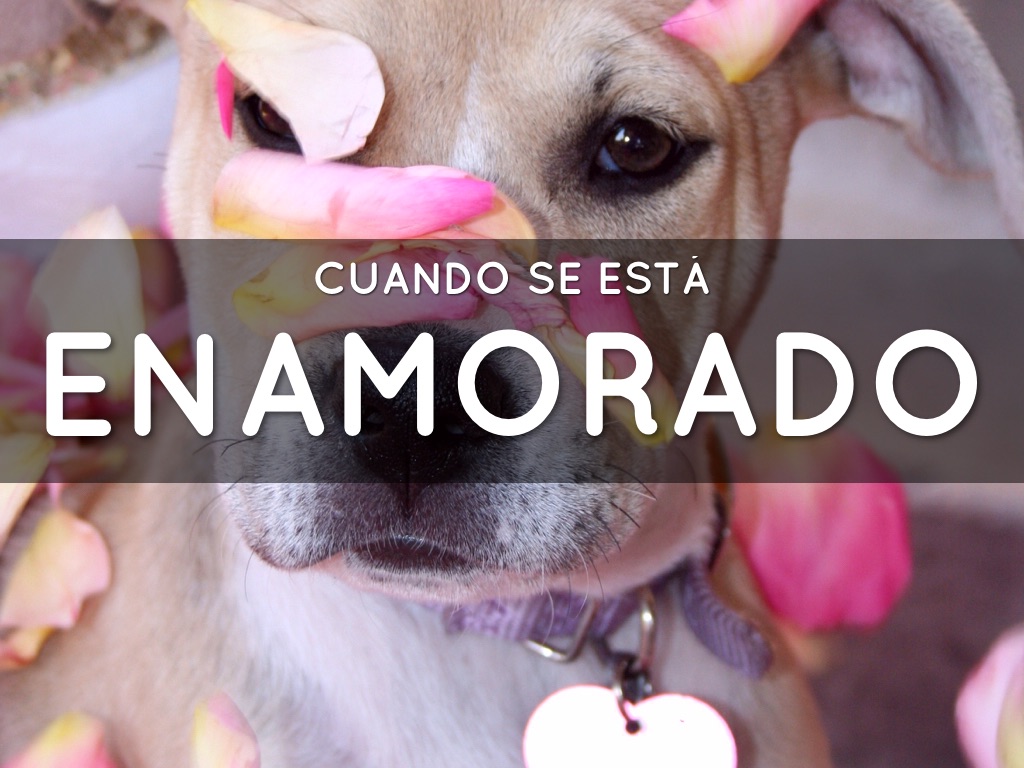 Cuando se esta enamorado