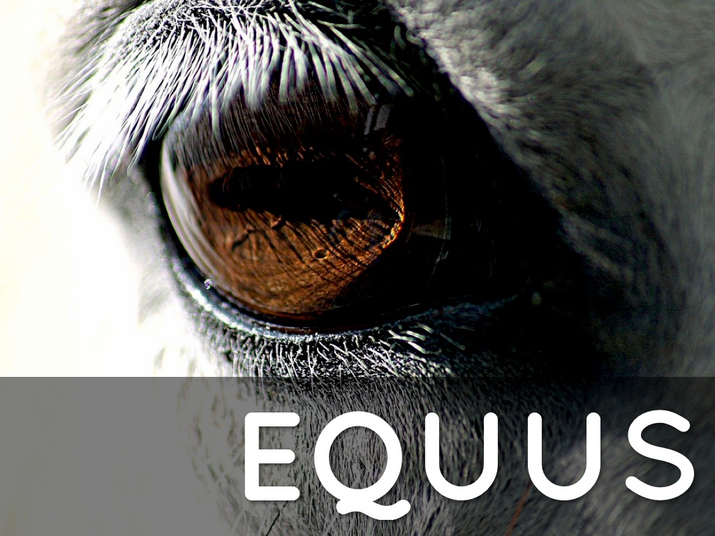 Equus