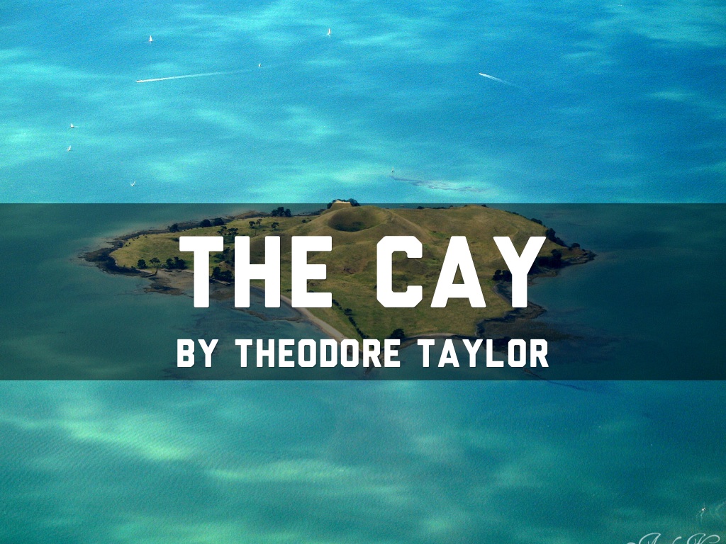 Cay Book Review by Coltan Myers