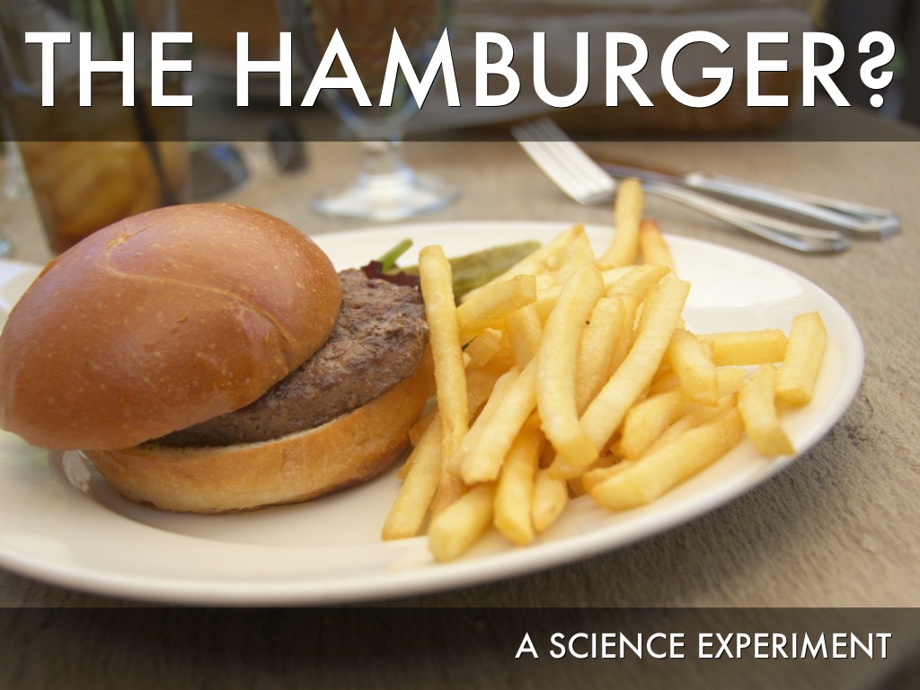 Science Fair by Katie Priest