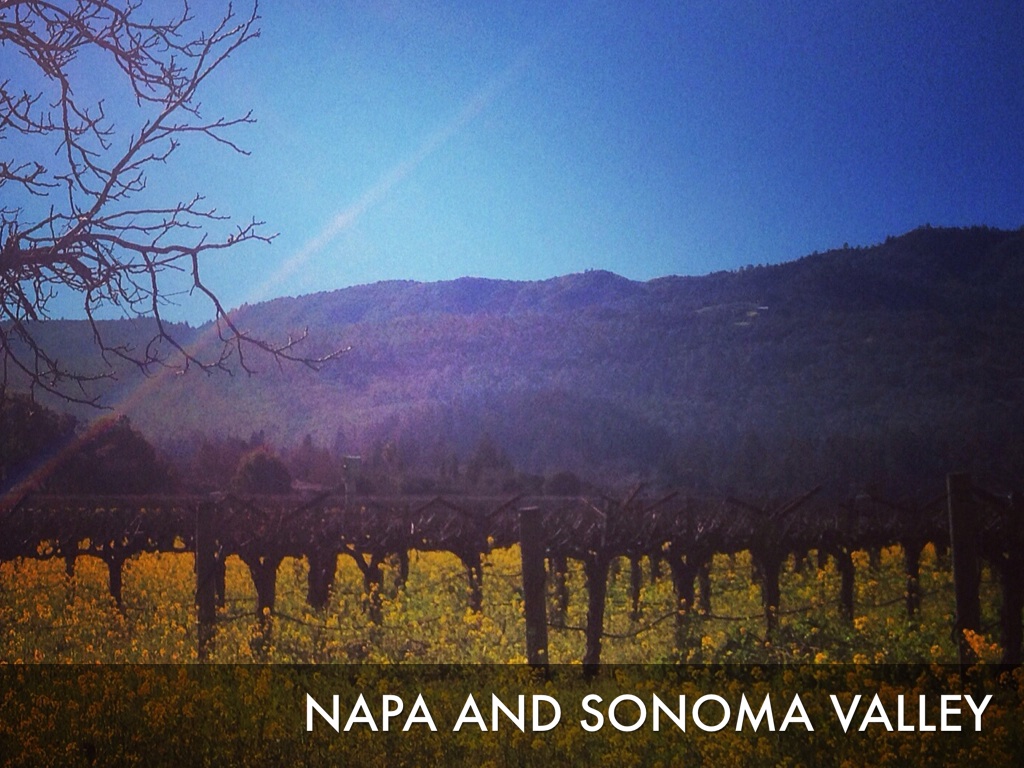 Napa And Sonoma Valley