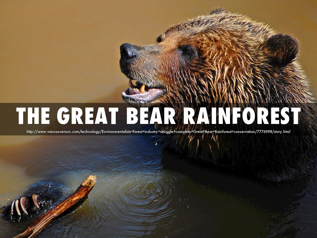 The Great Bear Rainforest