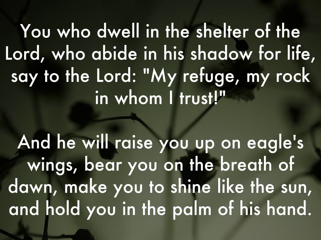 Eagle Gallery and he will raise you up on eagles wings chords and lyrics