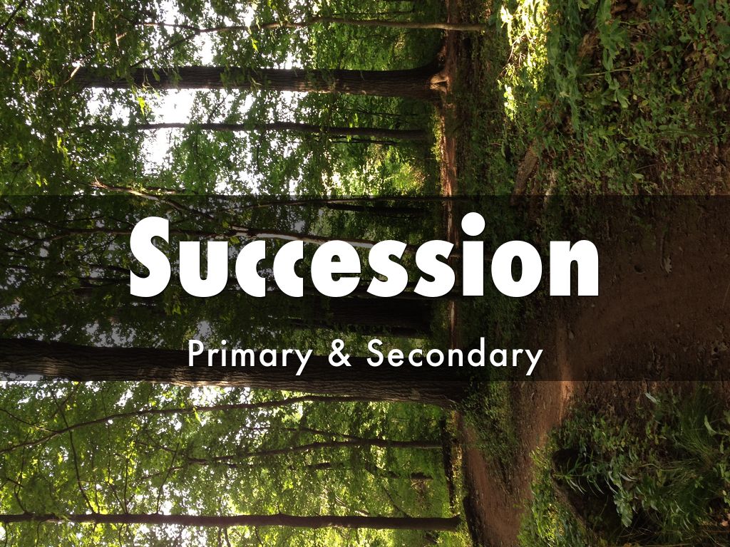 Succession