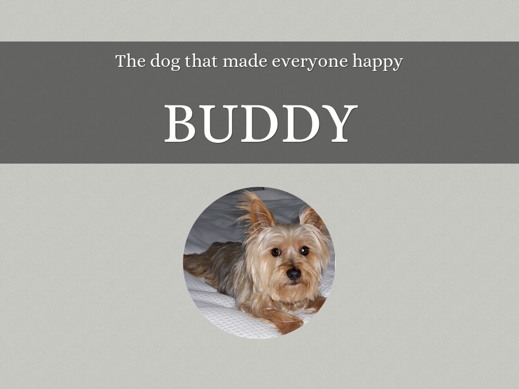 Buddy