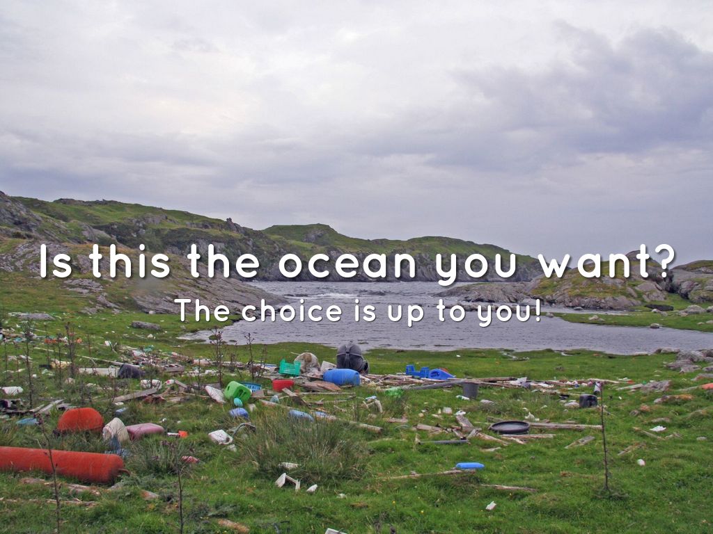  The Great Pacific Garbage Patch