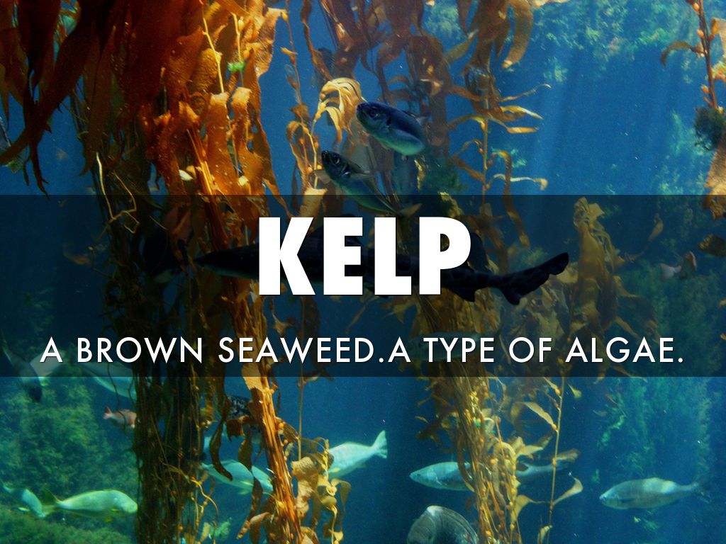 Terrestrial Environments