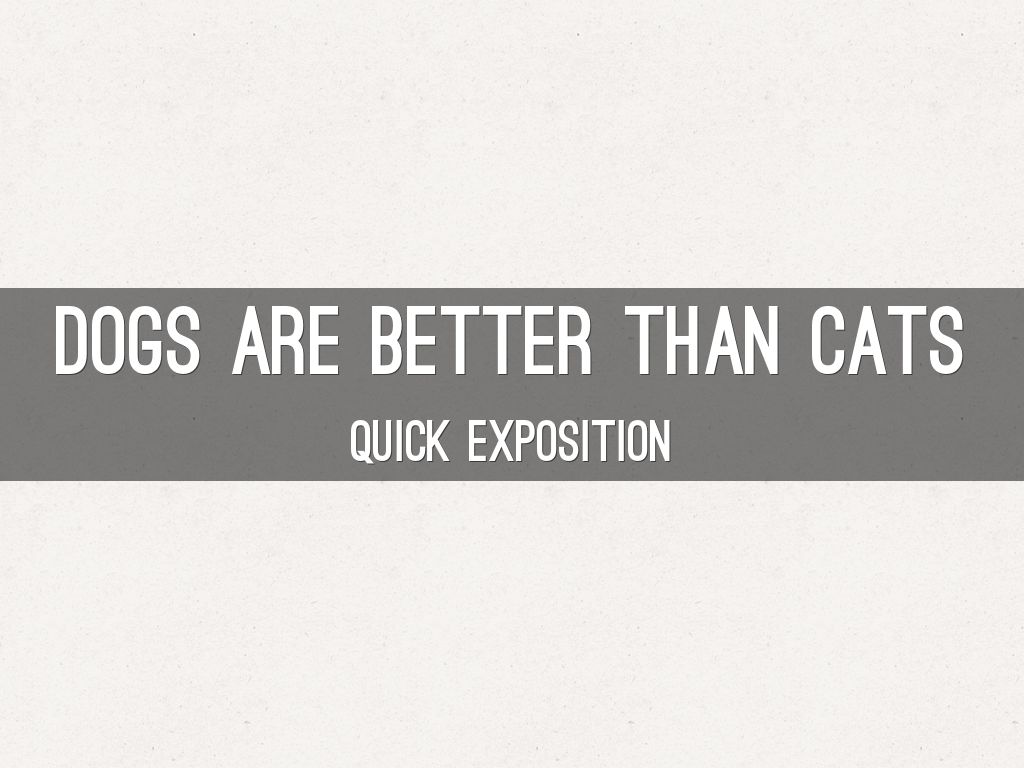  Dogs Are Better Than Cats
