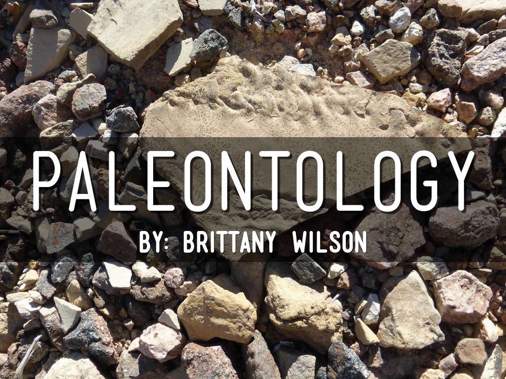 Copy of Copy of Title