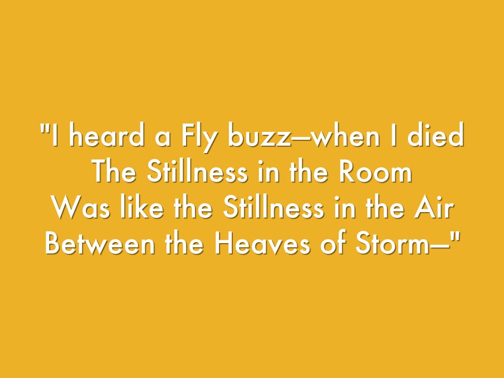 I heard a fly buzz when i died by sanskriti bajaj
