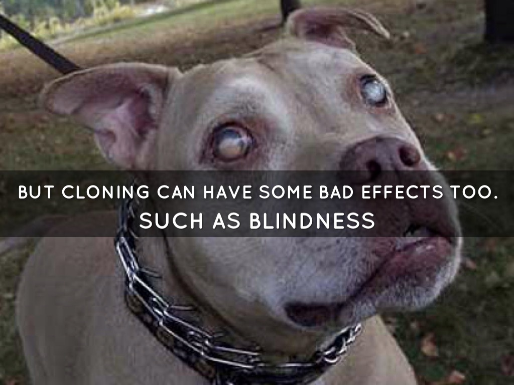 What Is Cloning by Jackson Fazendin