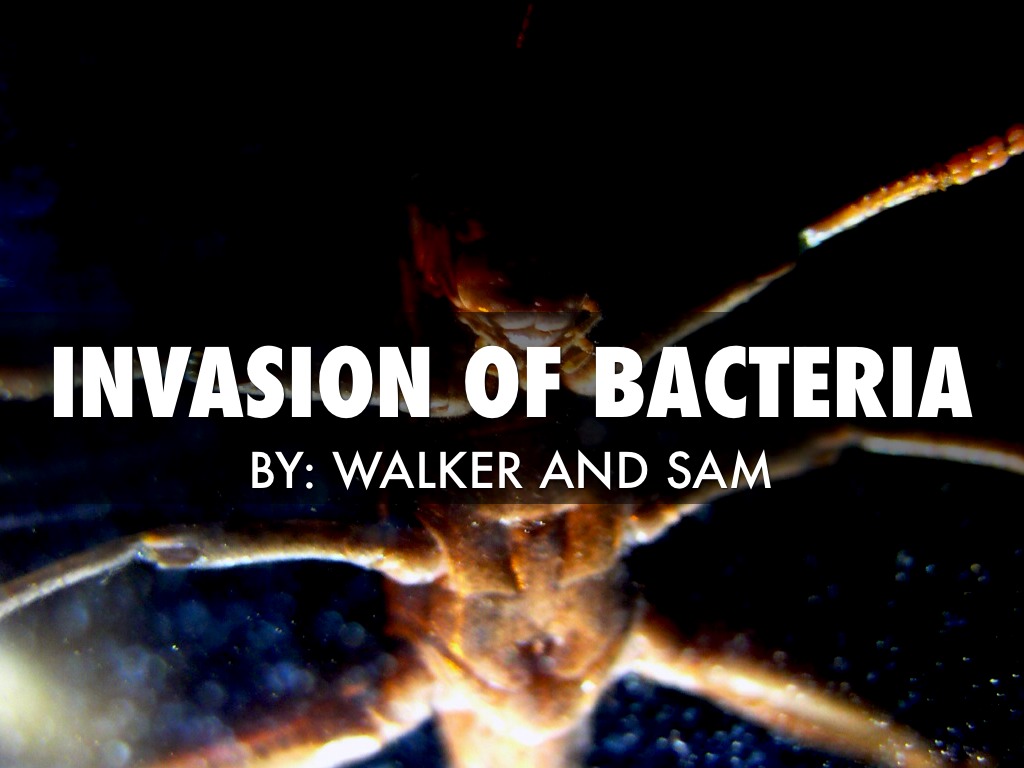 Invasion Of Bacteria by Walker Kirkpatrick