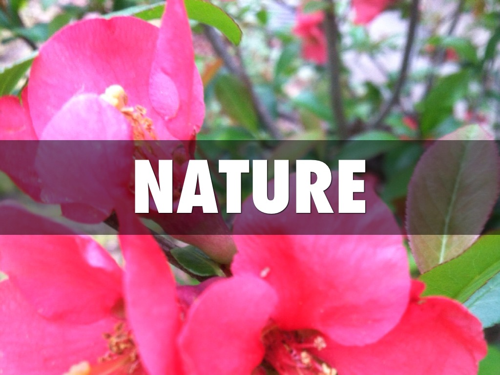 Nature