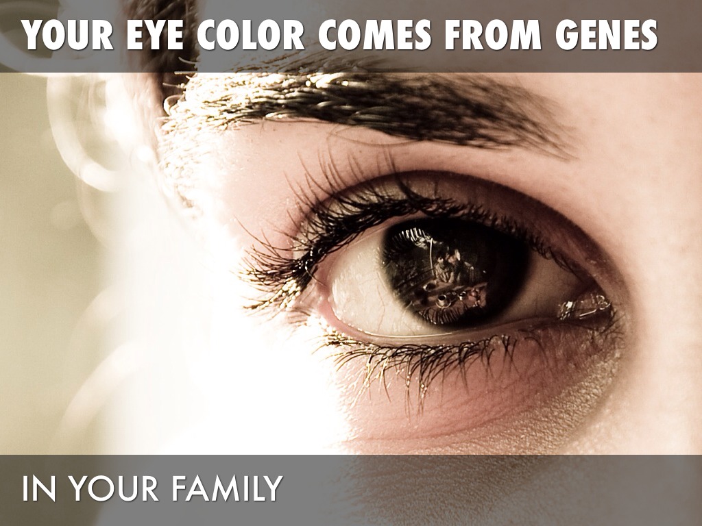 How Does Eye Color Change? by Makenzie Schweda