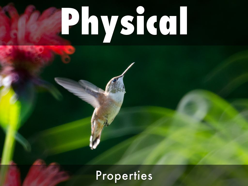 Physical