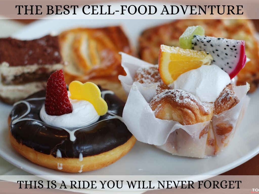 Cell Project-Food Inn