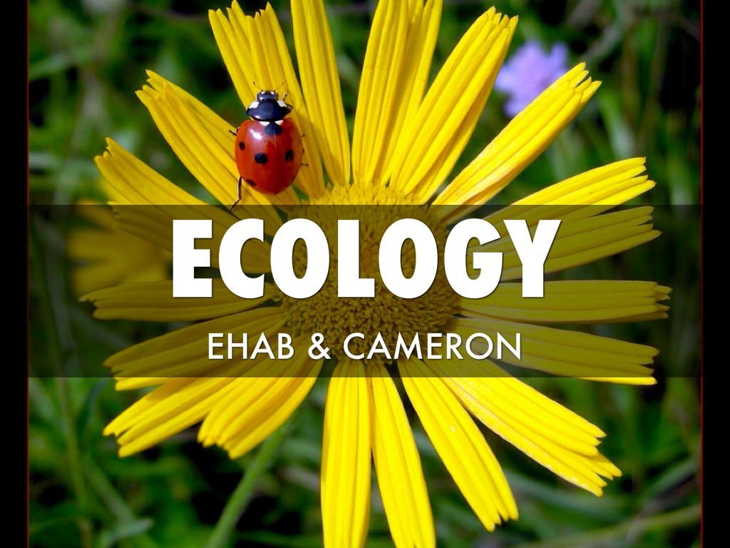 Ecology