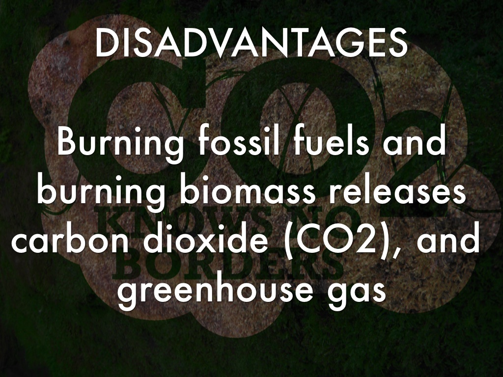 Biomass And Coal by Chaney Anderson