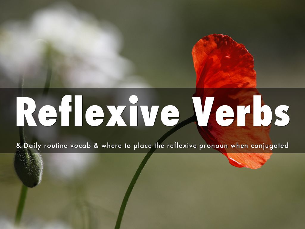 Reflexive Verbs