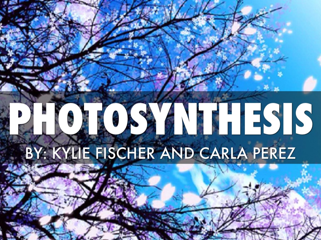 Photosynthesis
