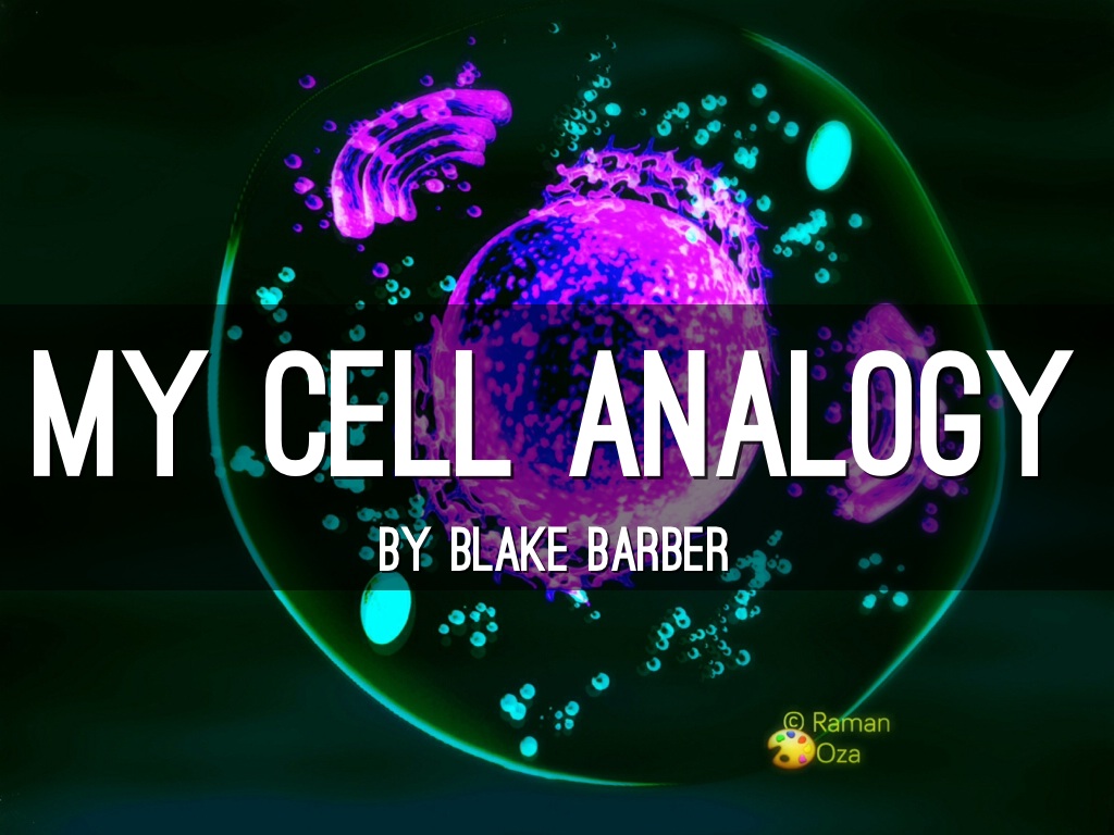 My Cell Analogy
