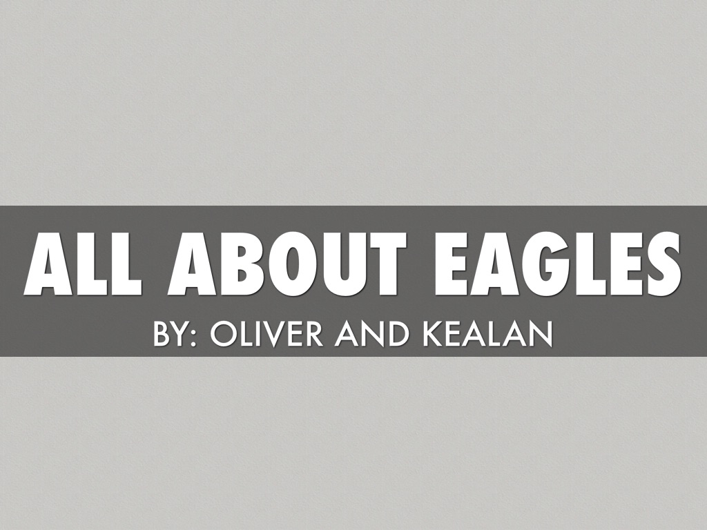 All About Eagles
