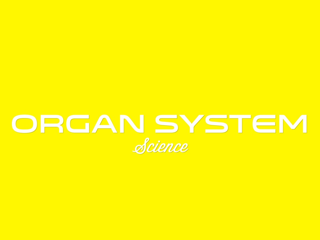 Organ System